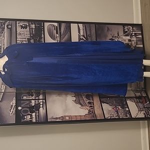 YIMEILI BLUE GLAM GOWN & LUSH HOODED CAPE COSTUME COSPLAY NWT